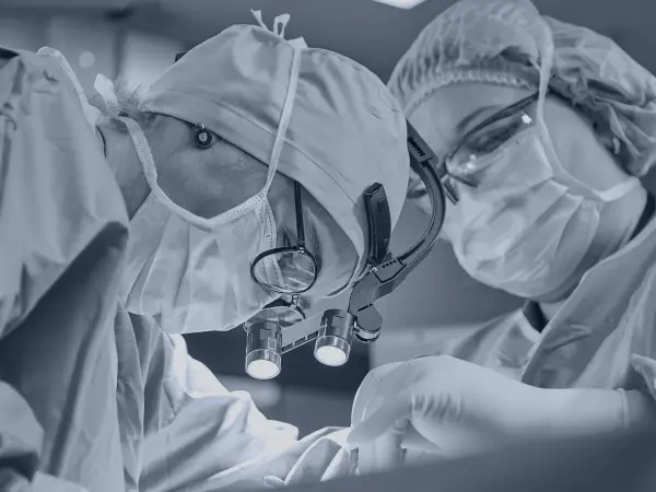 Organ procurement